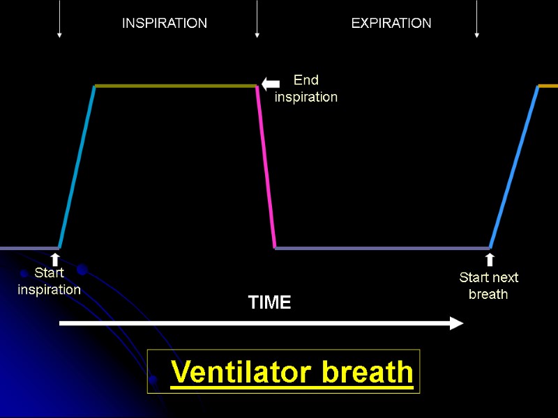 TIME INSPIRATION EXPIRATION Ventilator breath Start inspiration End inspiration Start next breath